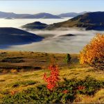 Познать красоту сахалинской осени: лучшие туры
